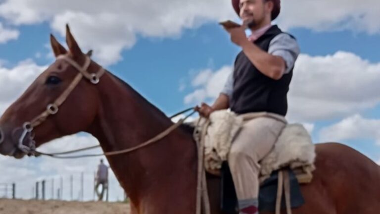 Inventaron una IA que les facilita el trabajo a los gauchos y recupera información clave para la ganadería