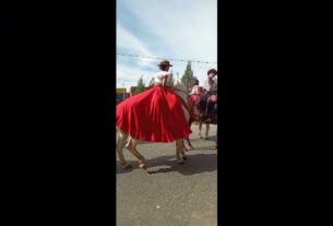 Resumen de los Festejos 133 años de Abbott un pueblo con historia …