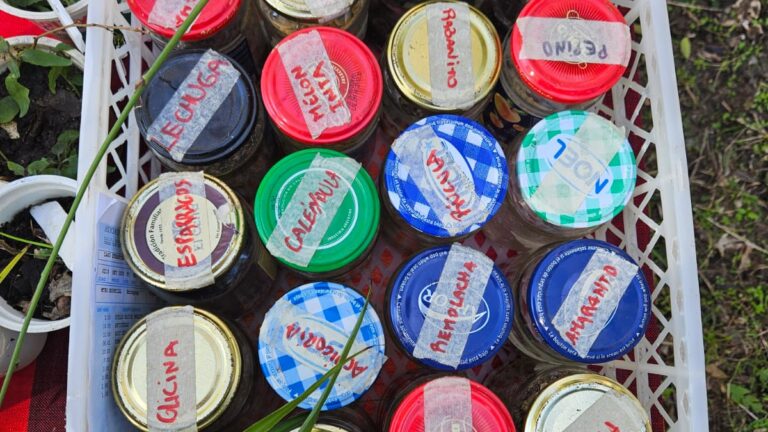 Intercambio solidario de semillas y saberes en Monte