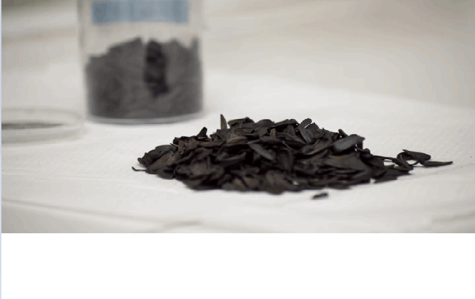 Investigadores del CONICET desarrollan un método simple y económico para eliminar arsénico y nitratos del agua