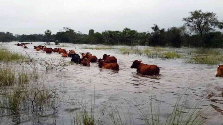 Tras el rechazo de la Comisión Vial Rural, el peronismo vuelve a la carga con un proyecto de alivio fiscal para productores afectados por las inundaciones