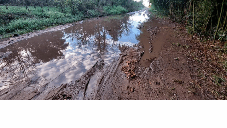 Empate y tensión en el Concejo: el debate por la Comisión Vial Rural dividió al recinto