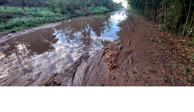 Empate y tensión en el Concejo: el debate por la Comisión Vial Rural dividió al recinto